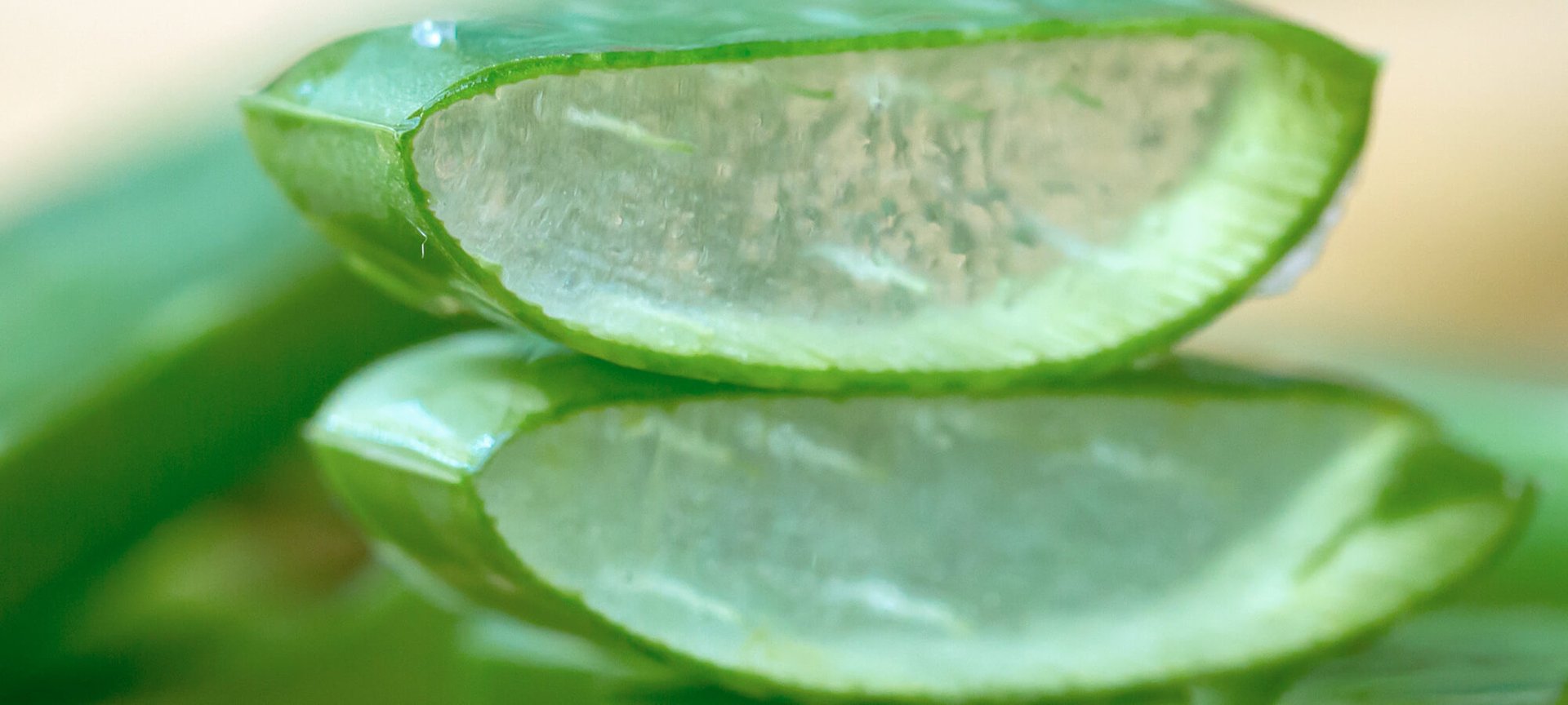 Aloe Vera Gesichtsmasken